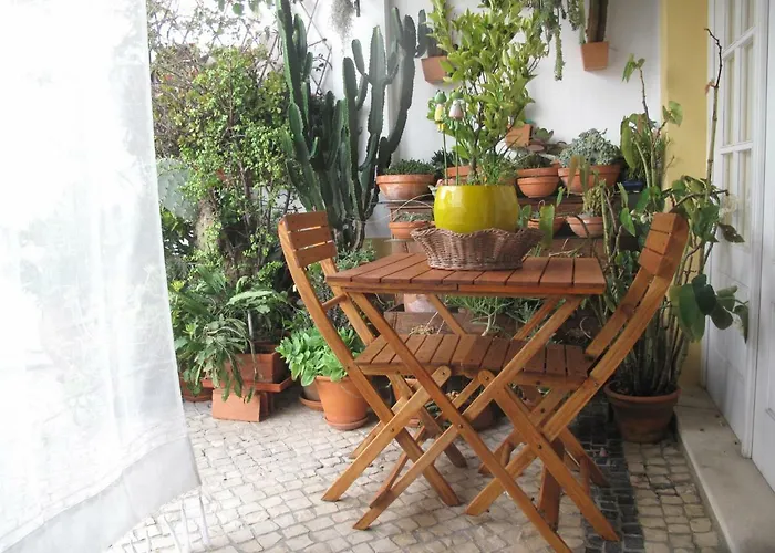 Casa Dos Cactos