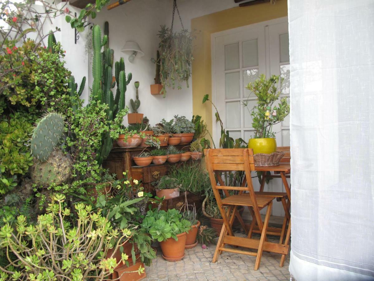 Casa Dos Cactos Guest house *