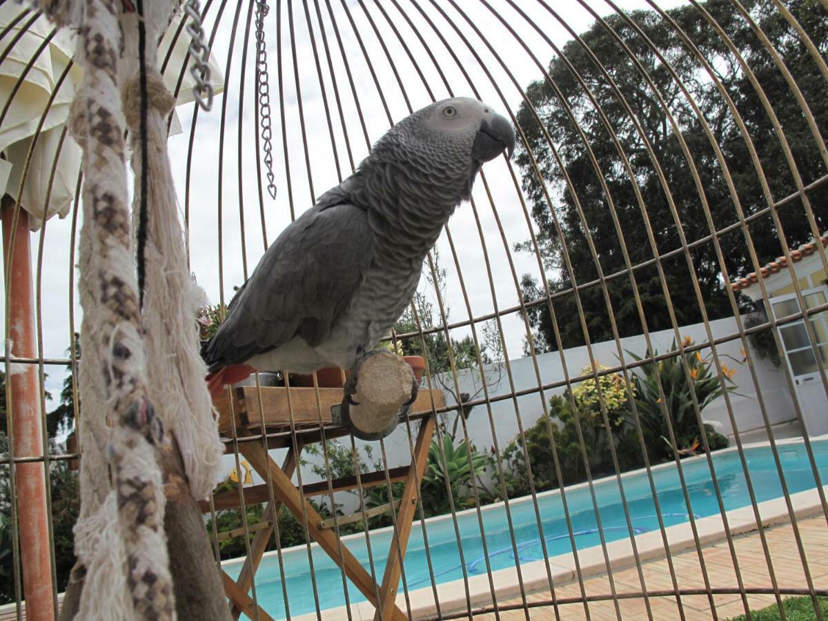 Casa Dos Cactos *