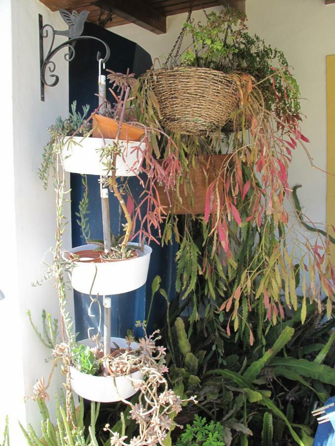 Casa Dos Cactos Vila Nova de Milfontes